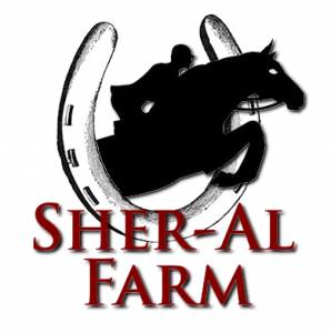 SA-Logo-Silouette-whiteBG